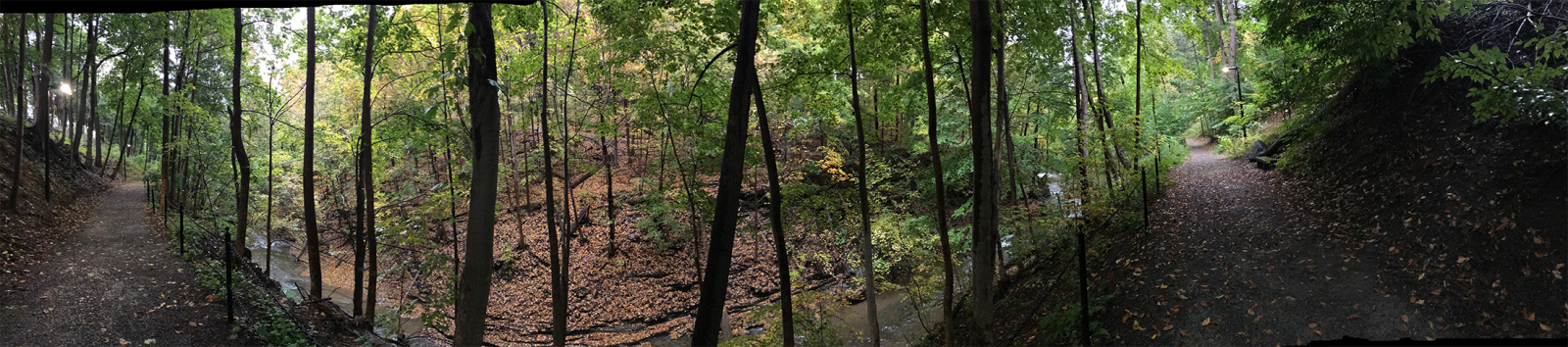 This gorge trail is my daily commute to and from work